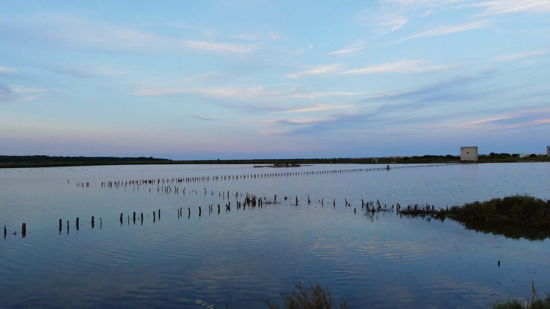 Les anciens salins de Frontignan sous l'eau