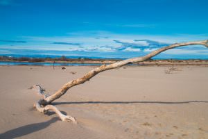 Grande étendue de sable de la plage de la Grande Maïre Sérignan