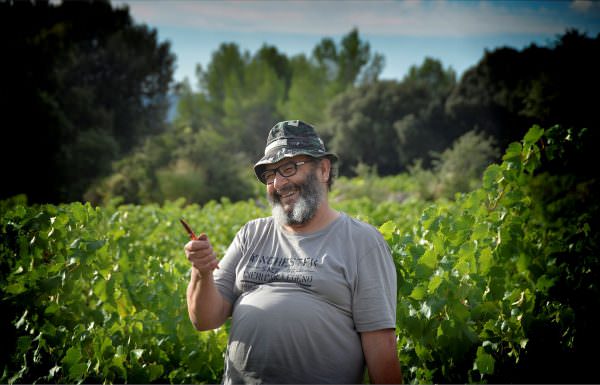 Vigneron très souriant sécateur en main dans les vignes