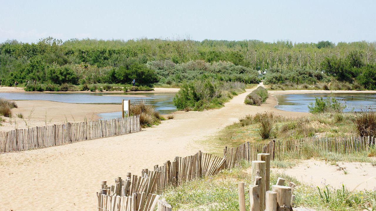 Arrière plage à Vendres