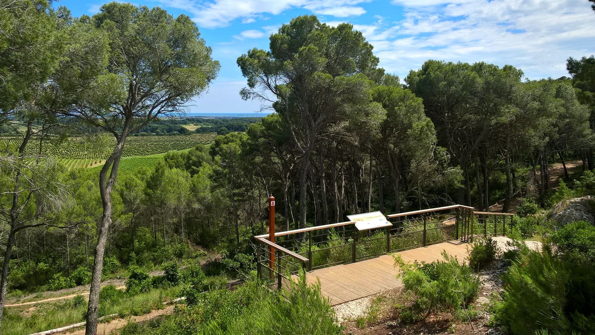 Belvédère sur Thau depuis le parc départemental de Bessilles