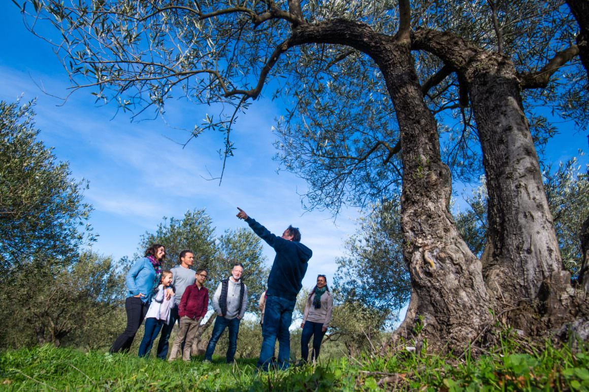 Producteur d'olives © R. Domergue Rencontre en tribu avec un producteur d'olives