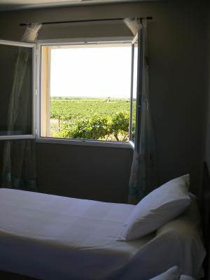 Vue de la chambre donnant sur les vignes