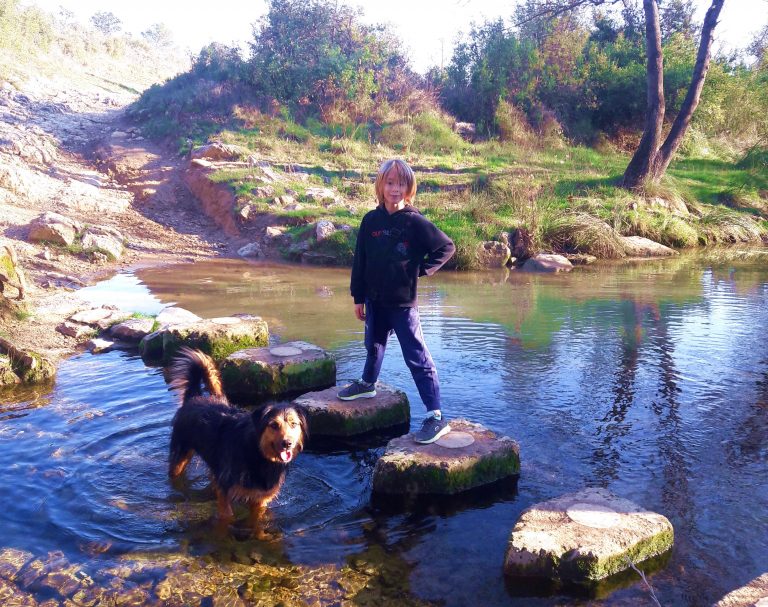 Un enfant qui se balade en famille avec son chien, Ruine du pont des Tourilles sur la Cadoule, un cours d'eau à Castries