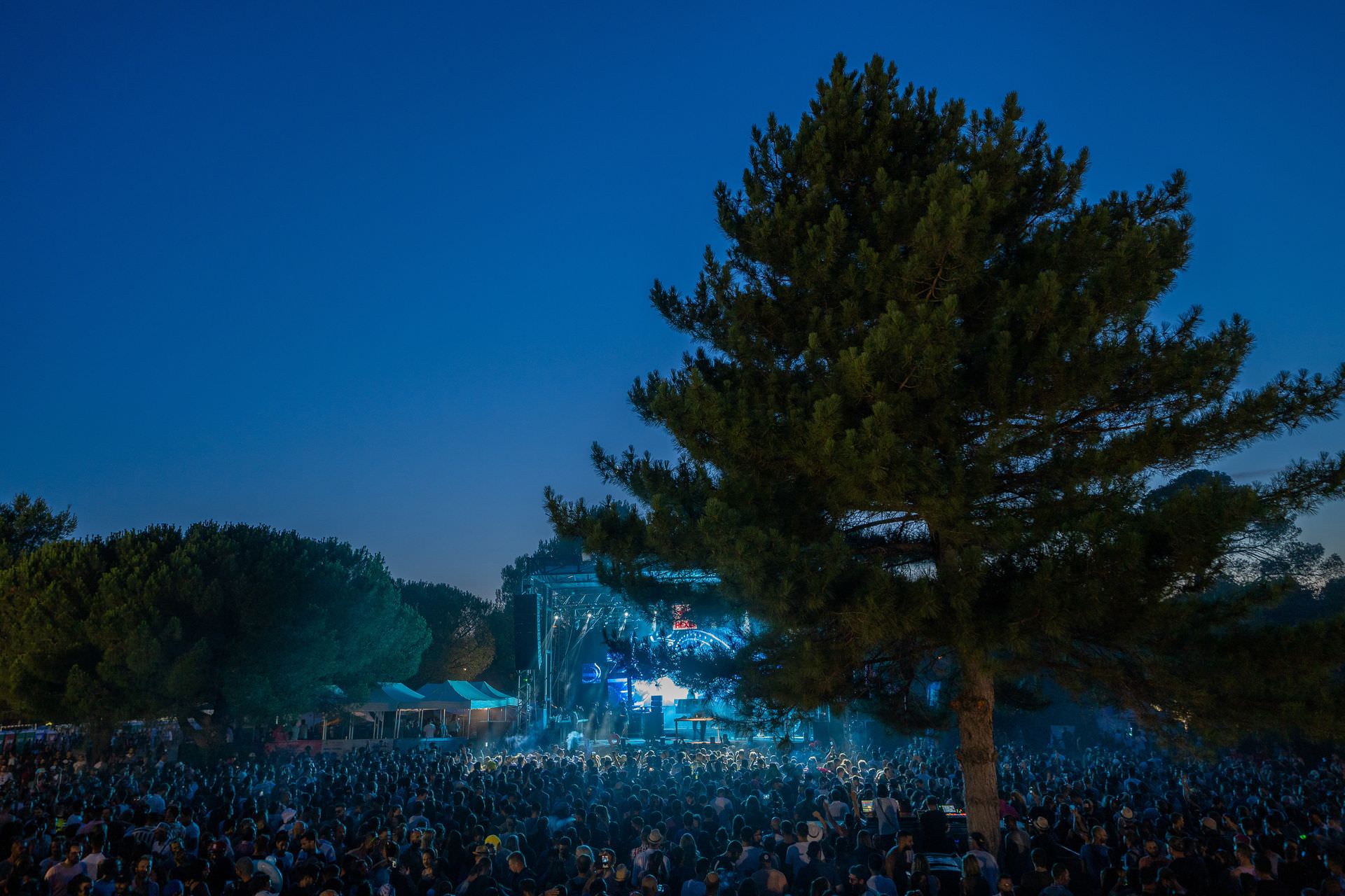 Festivaliers du Family Piknik à la nuit tombante dans la pinède du Domaine de Grandmont à Montpellier