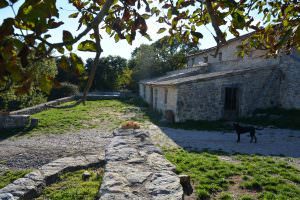 Vue d'ensemble du gîte de groupes Les Gites de la Garrigue à Saint Bauzille du Putois