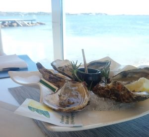 Assiette d'huîtres de Bouzigues au restaurant le Grand Large avec l'étang de Thau en arrière-plan derrières les baies vitrées