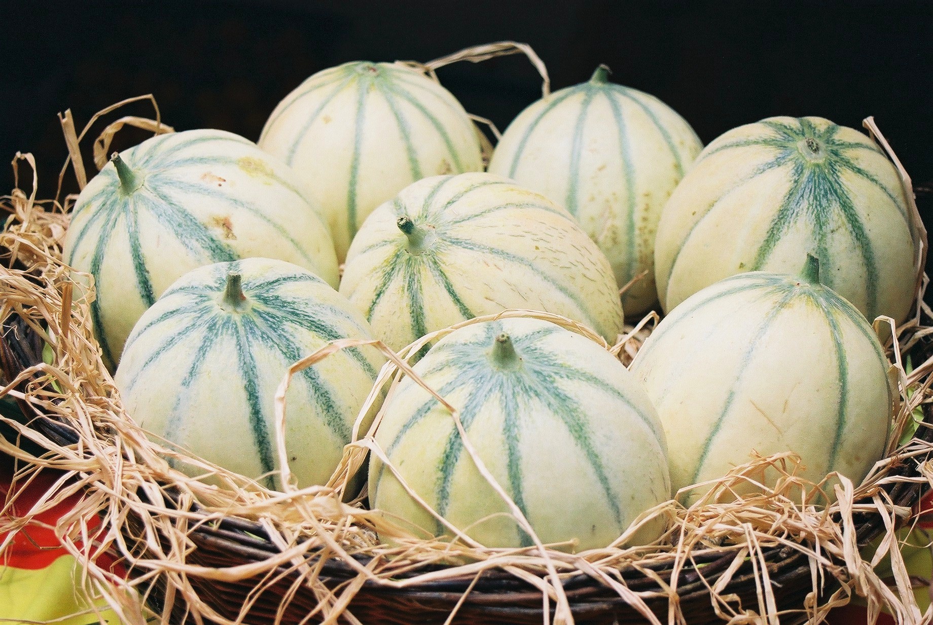 Melons dans un panier avec de la paille l'été