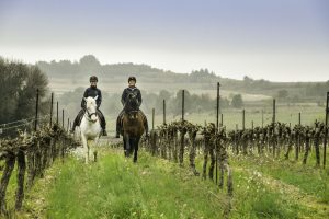 Balade à cheval entre copines dans les vignes avec Les Ecuries de l'Olivier à Montagnac près de Pézenas