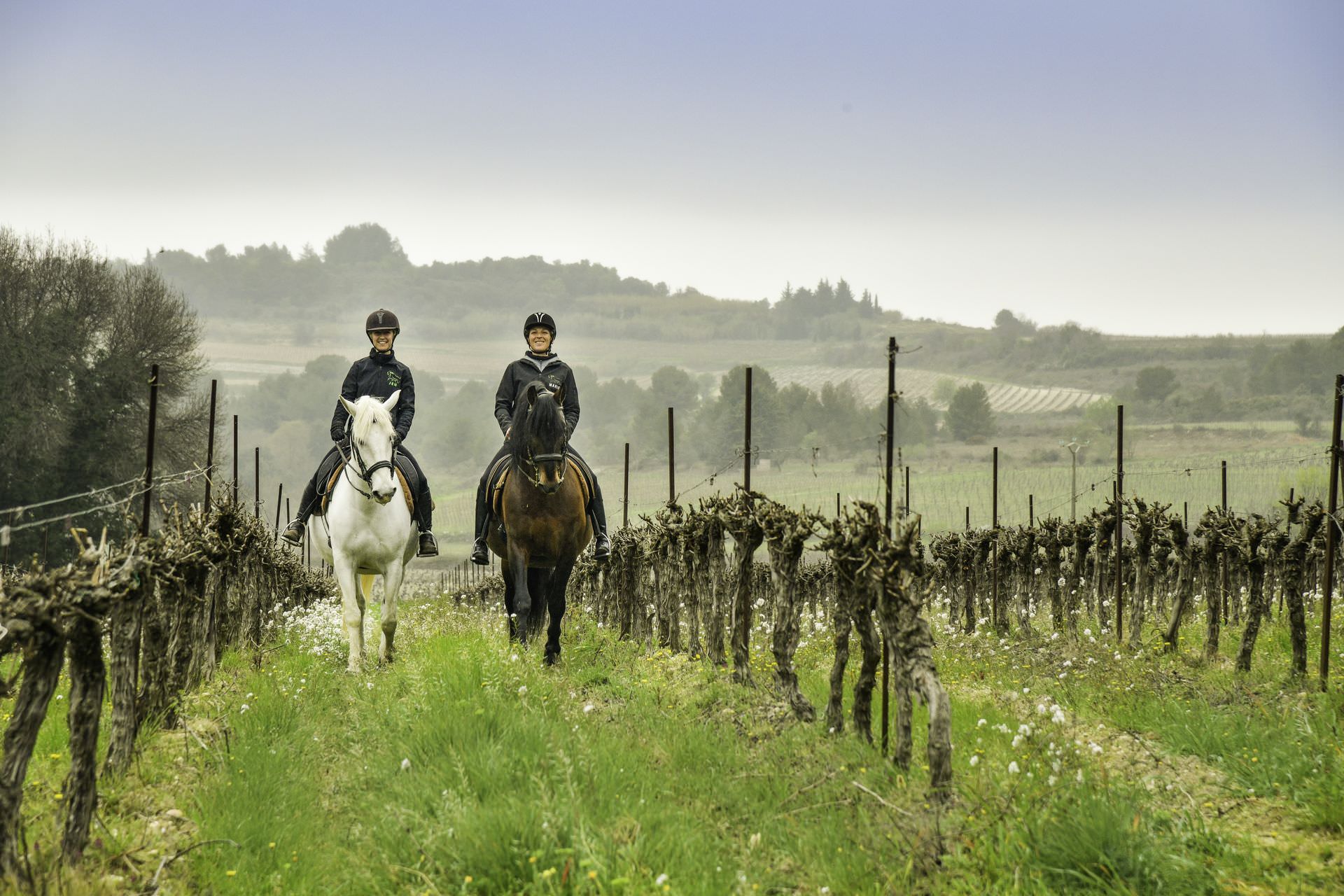 Balade à cheval entre copines dans les vignes avec Les Ecuries de l'Olivier à Montagnac près de Pézenas