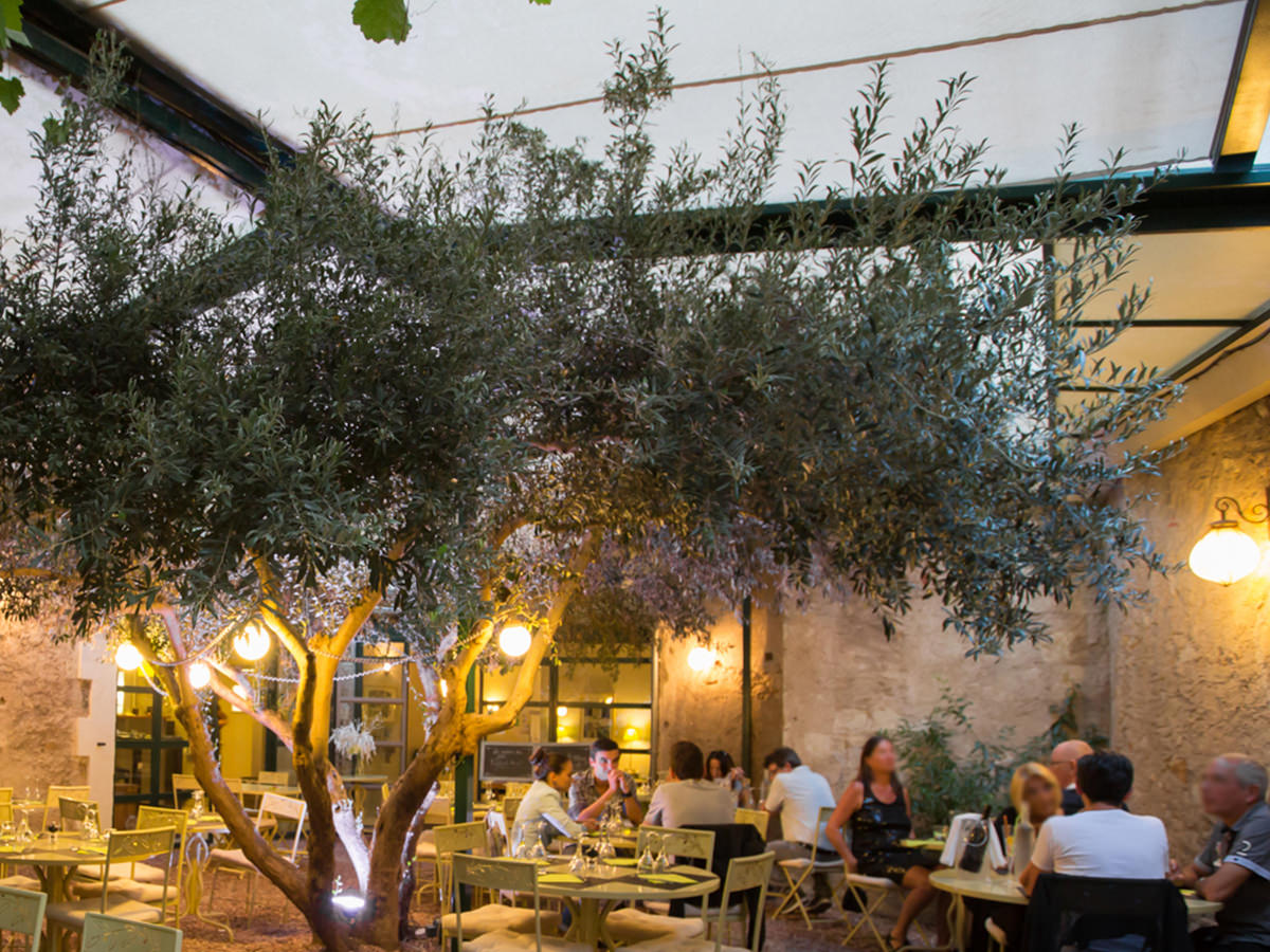 Patio extérieur à l'ombre de l'olivier