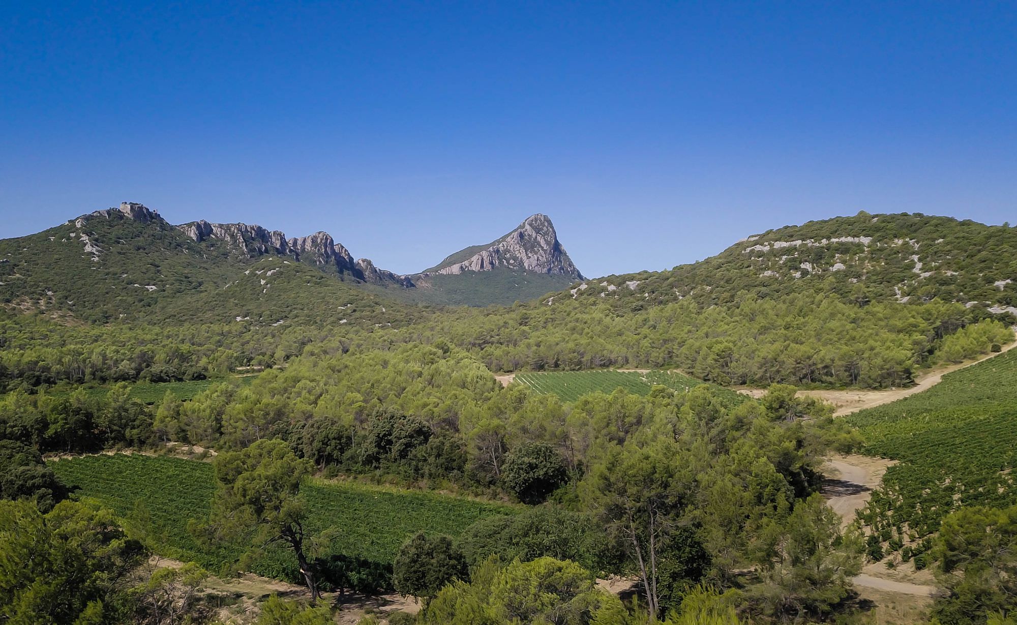 Vue sur le Pic St-Loup