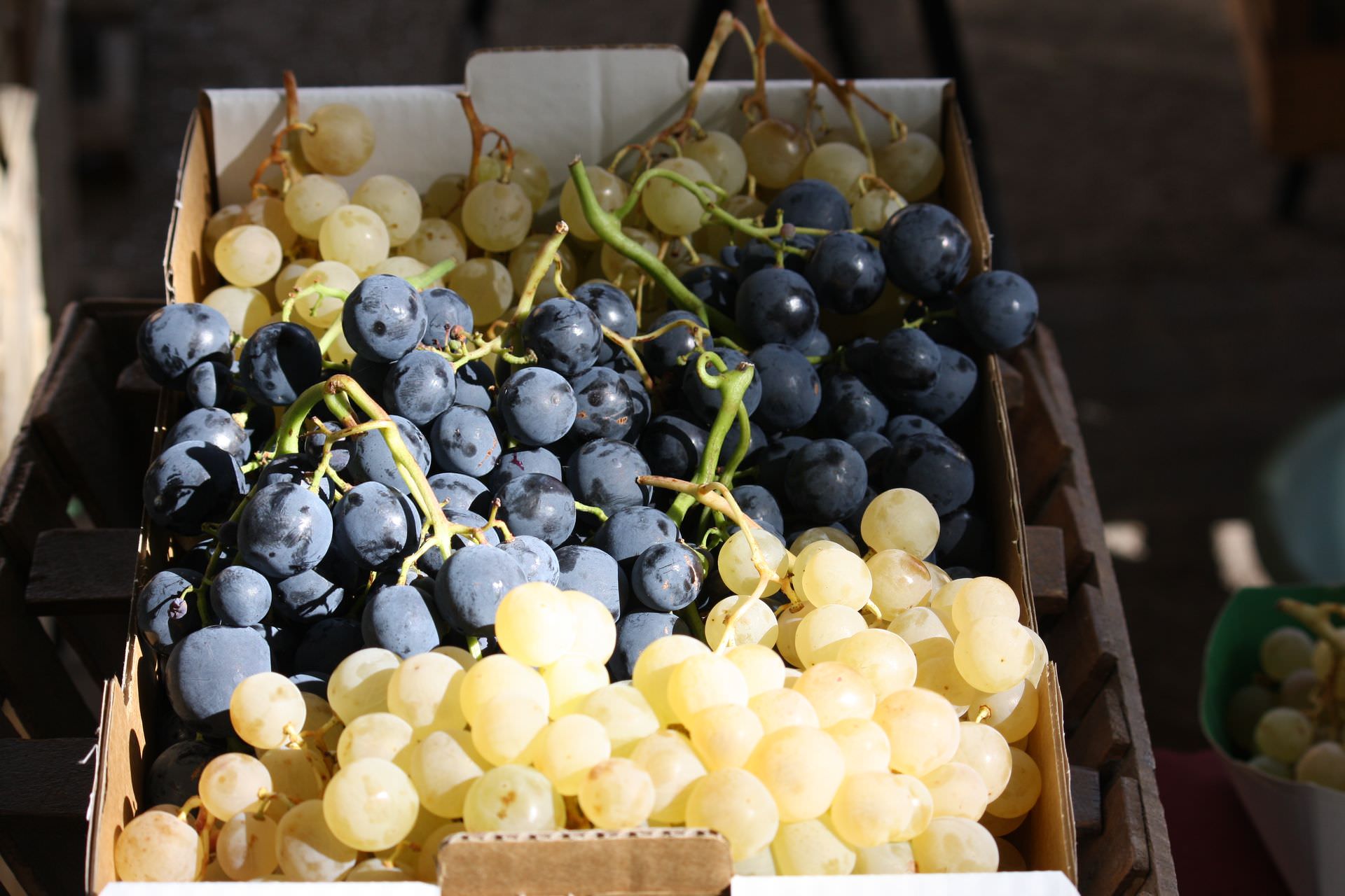 Raisin au marché © M. Bavoillot cagette de raisin blanc et noir au marché