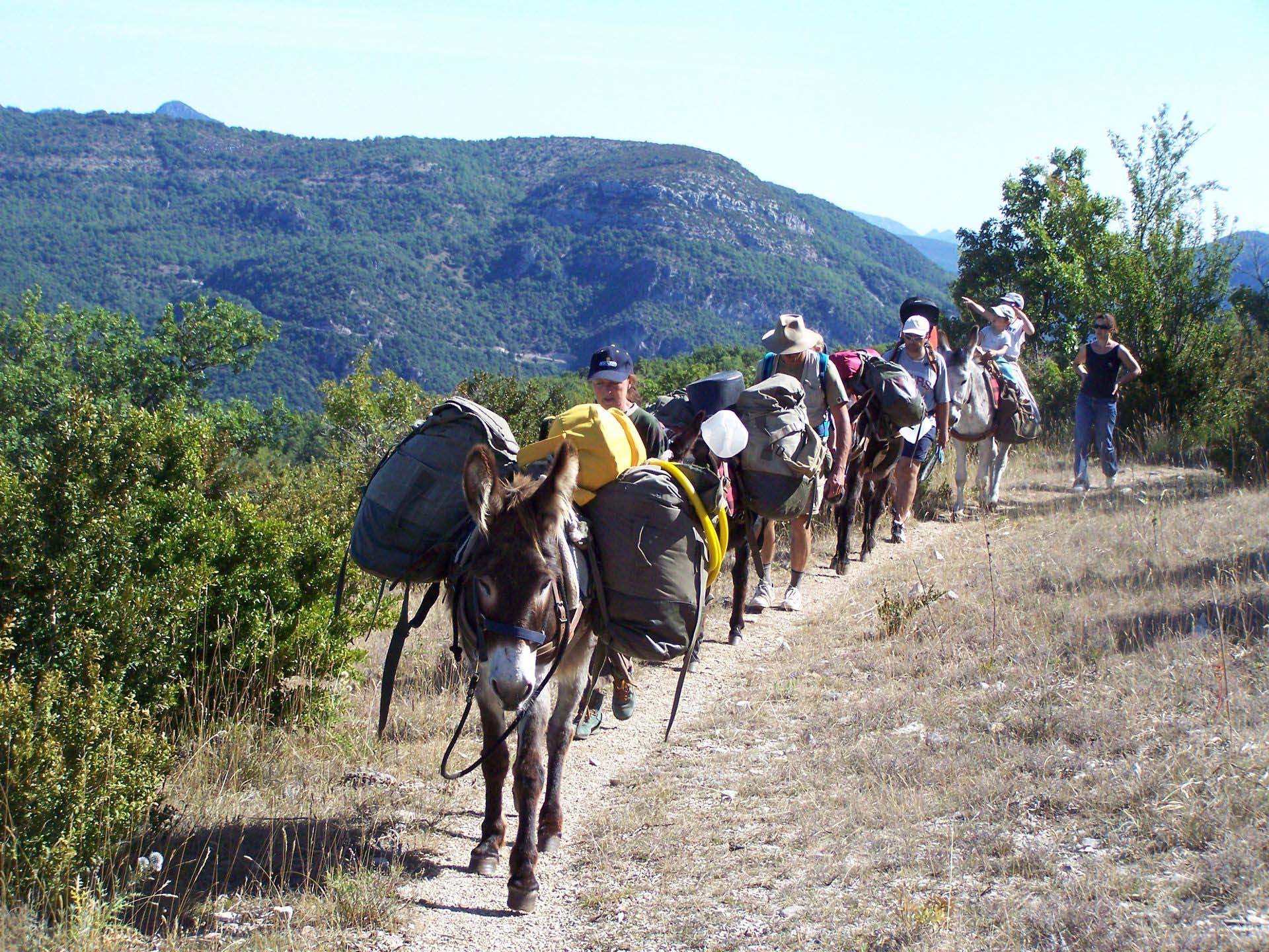 Famille en Randonnée avec des ânes avec Sherpanes