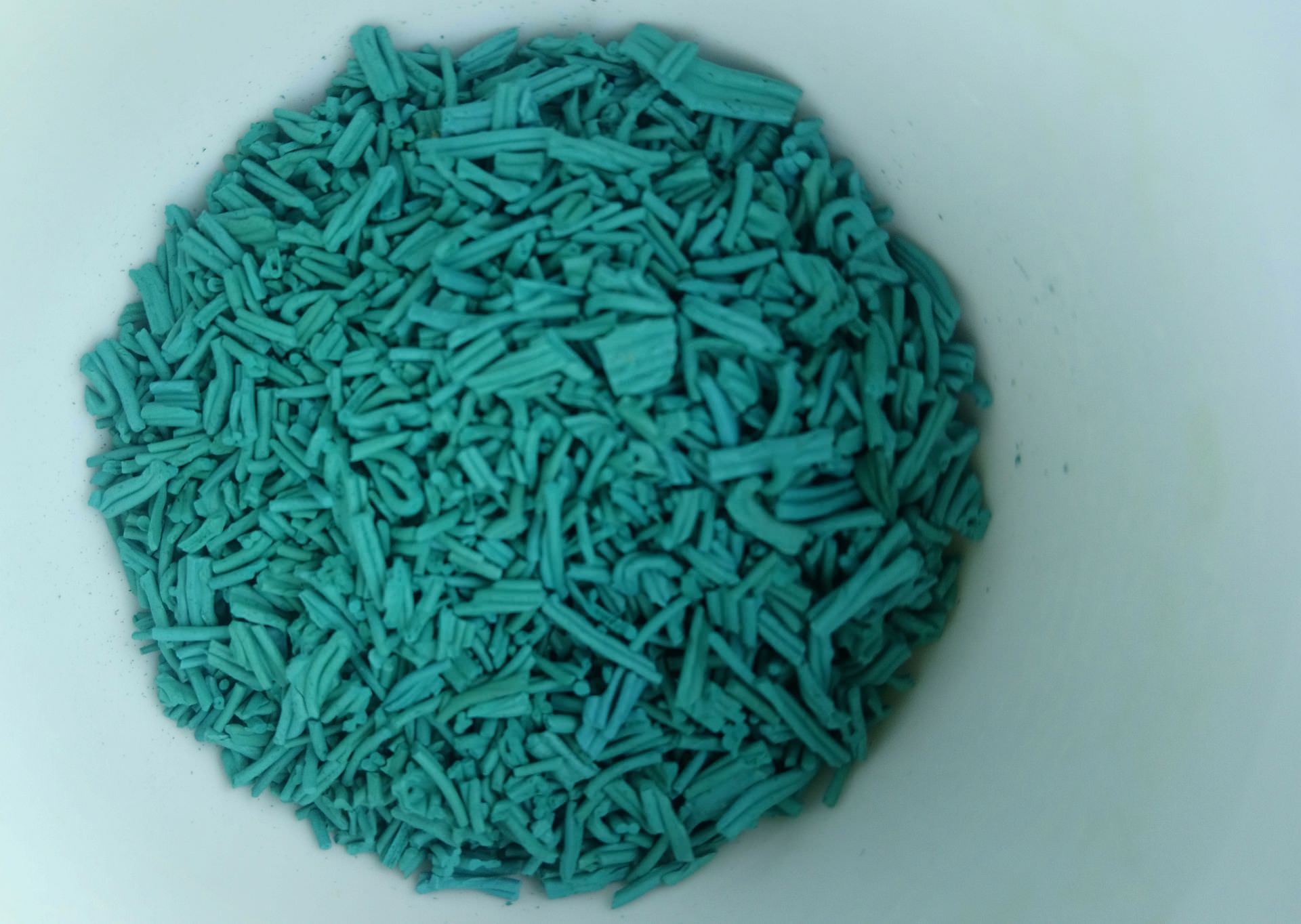 Spiruline en brindilles