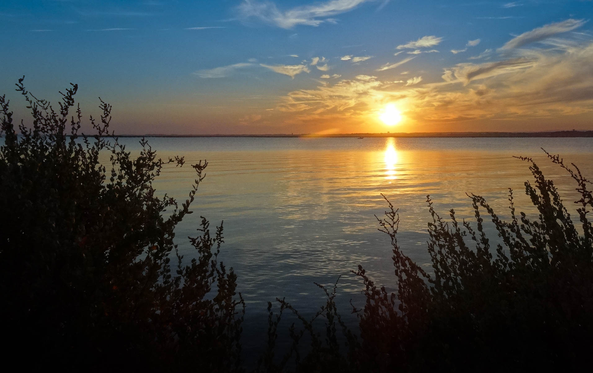 Coucher de soleil sur le bassin deThau