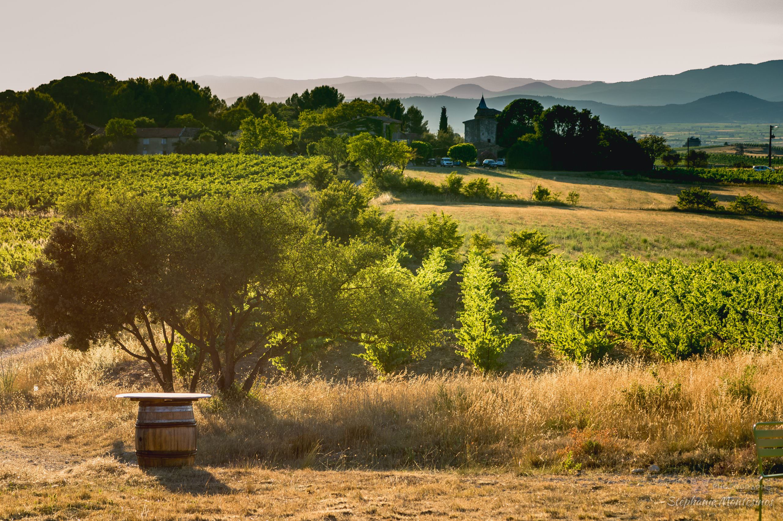 Vignoble du Domaine de Pélican