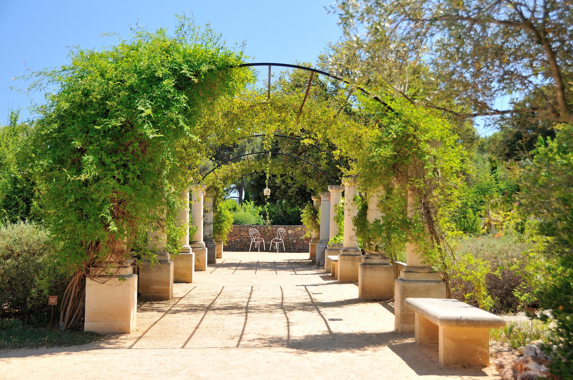 Jardin Antique Méditerranéen