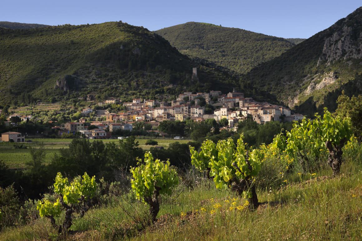 Minervois, Saint-Chinian, Faugères et Haut-Languedoc