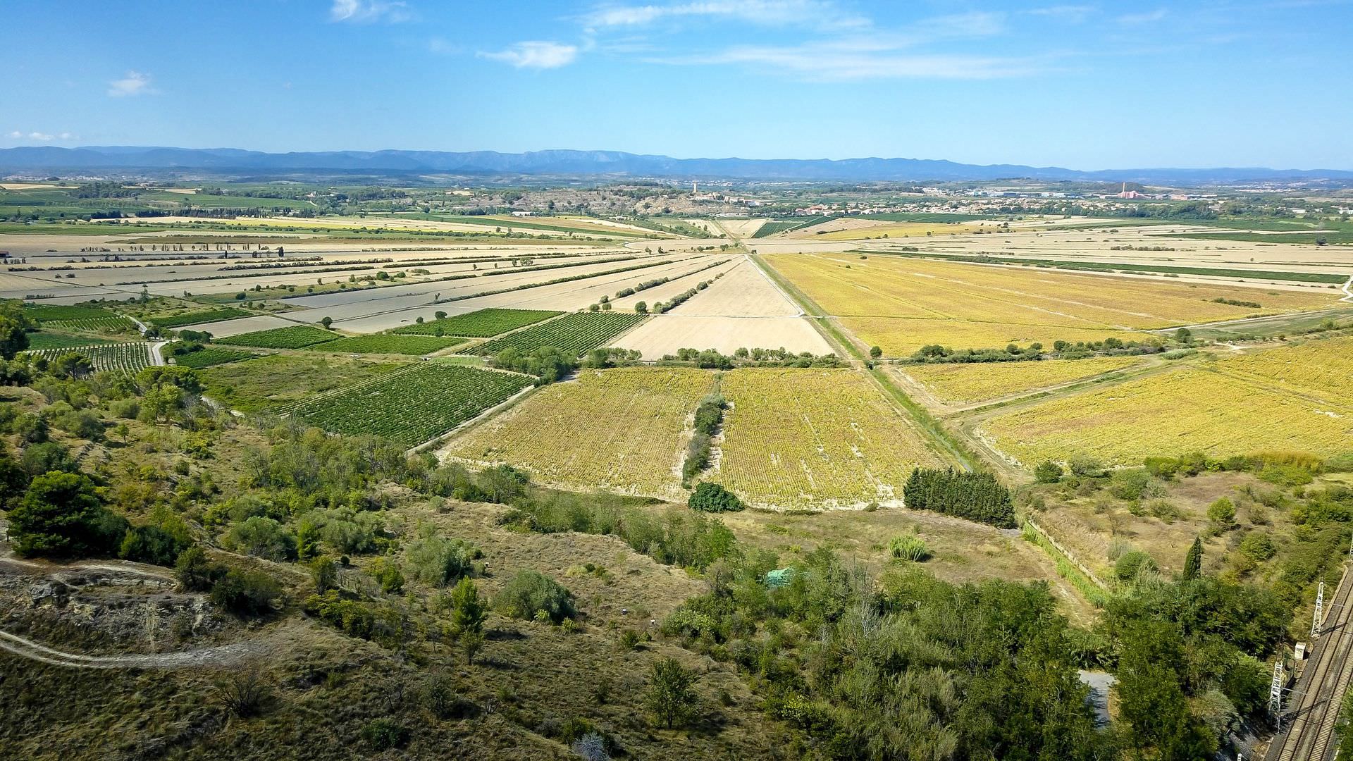 Etang de Montady