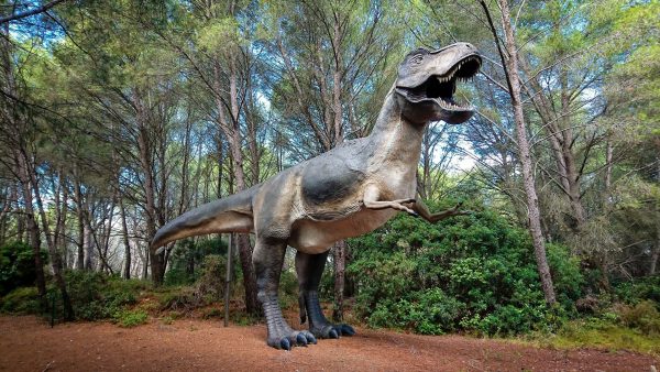 Un tyranosaure au Musée Parc Dinosaure à Mèze