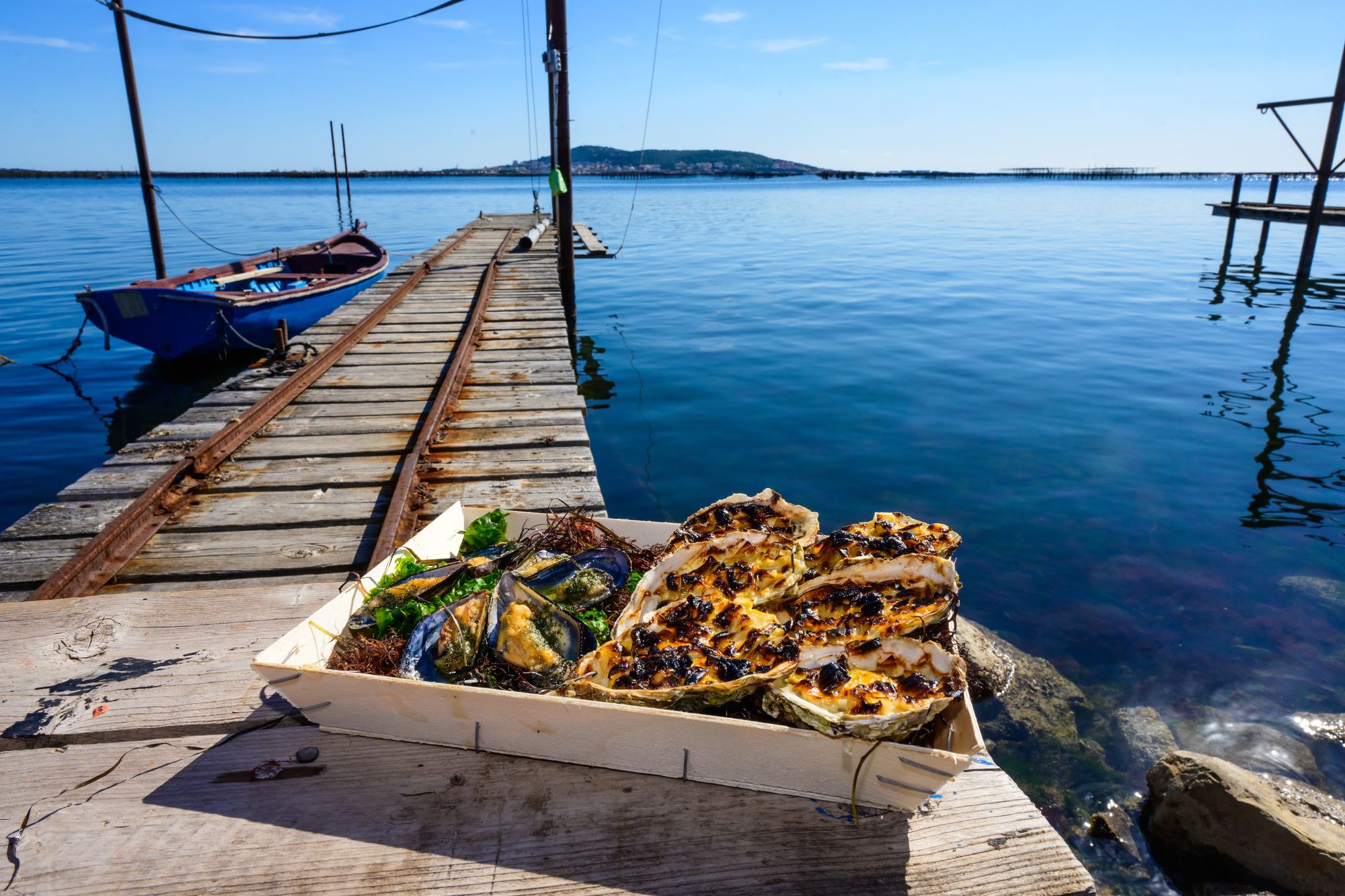 Plateau de fruits de mer pour une dégustation des produits du terroir au bord de l'étang de Thau
