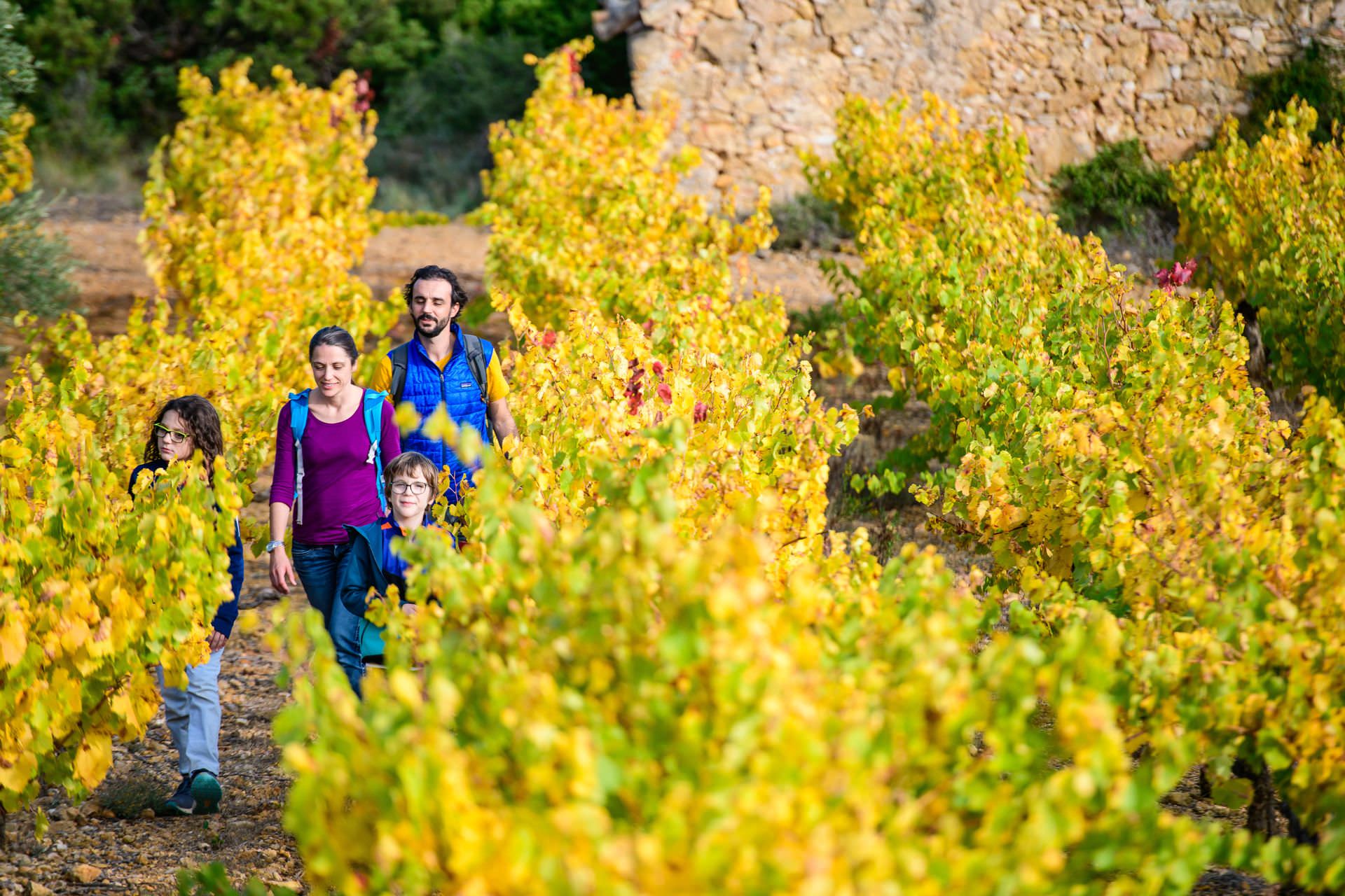 Famille qui se balade dans les vignes