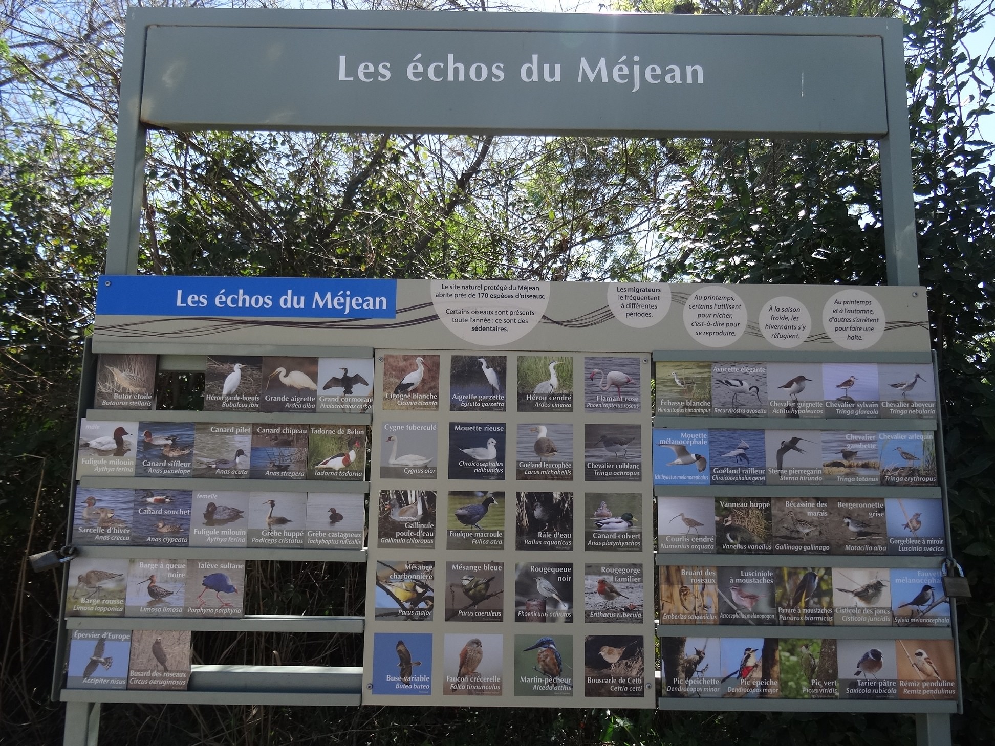 Panneau présentant la faune du Méjean