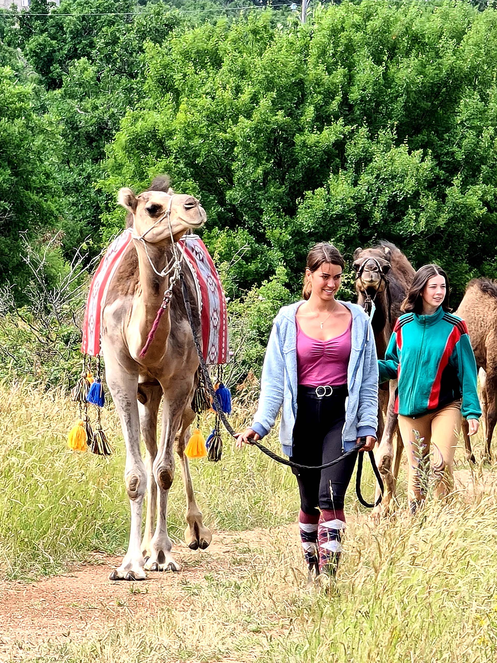 Sortie balade avec des dromadaires sur le Larzac avec enfants