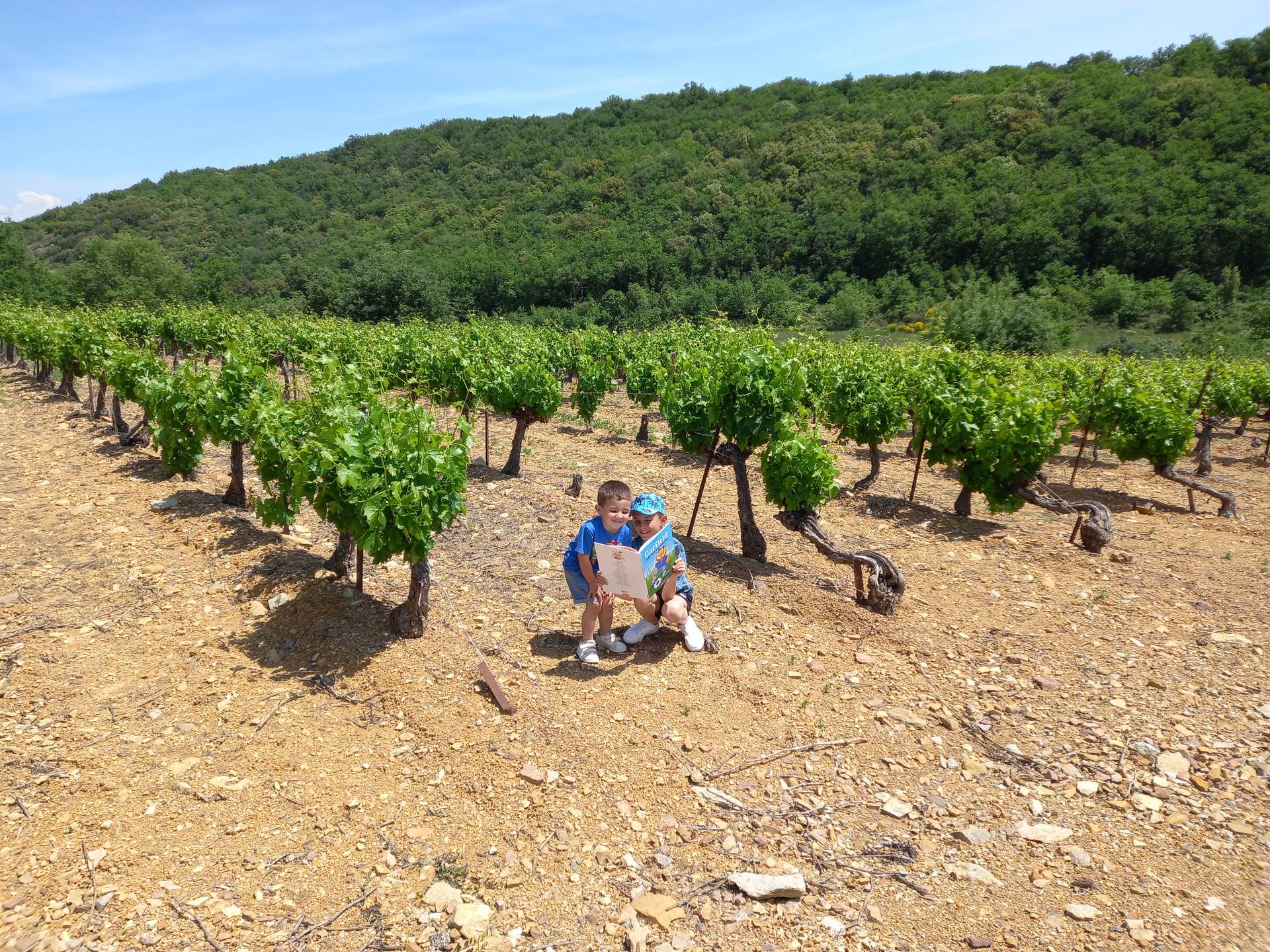 François et Florentin s'amusent dans les vignes