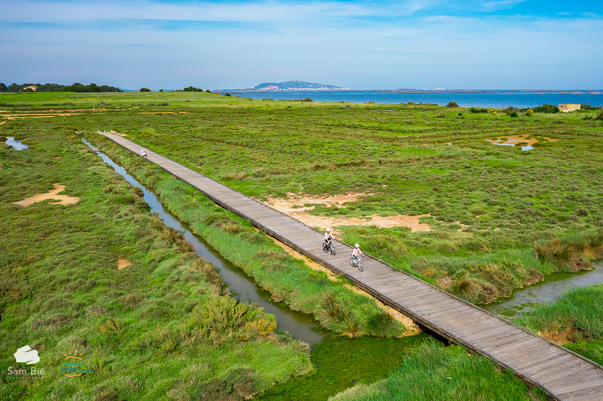 ©Sam Bié - Hérault Tourisme Balade en vélo entre mer et étang, avec Sète en fond