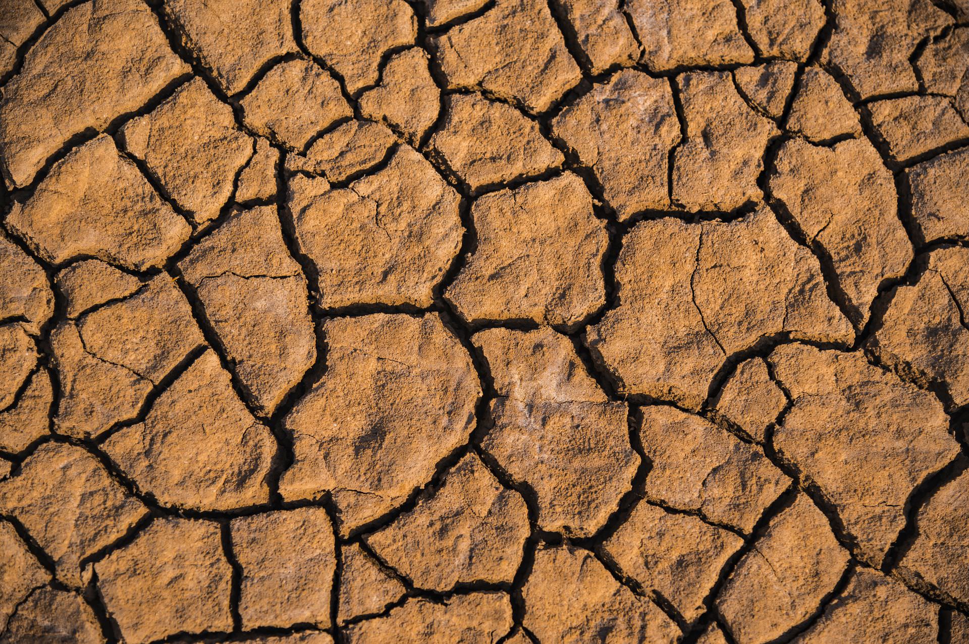 Terre craquelée sur les rives de l'étang de Thau