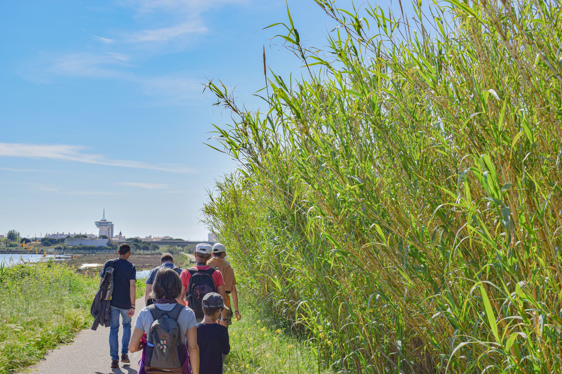 Groupe de personnes en visite guidée à Palavas-Les-Flots au bord d'un étang, avec le Phare de la Méditerranée en troisième plan