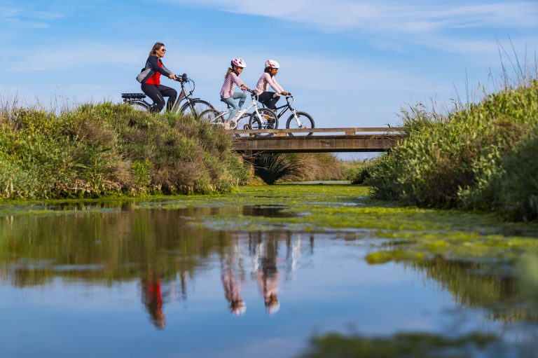 Balade à vélo en famille sur les rives de l'étang de Thau
