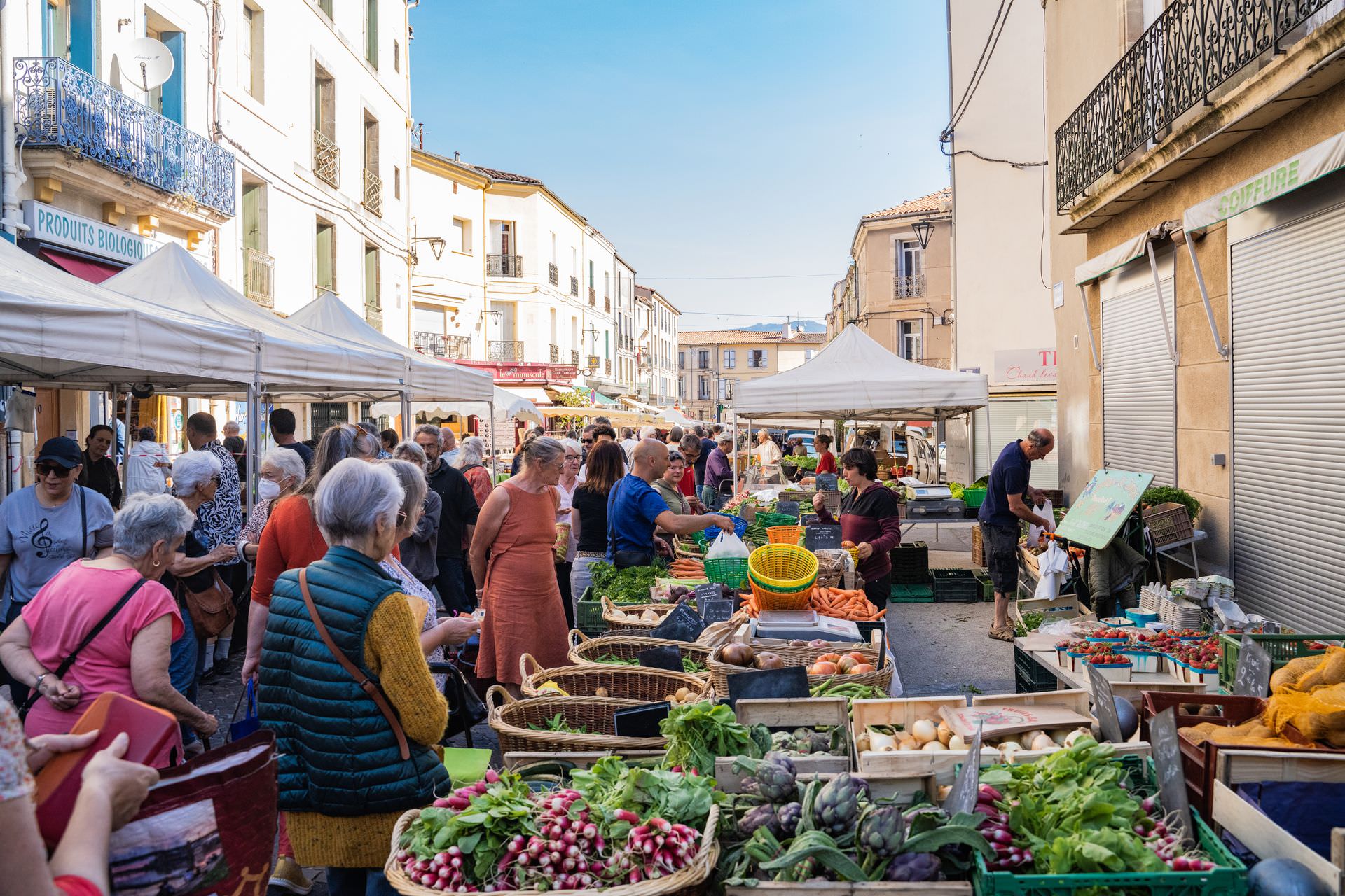 Marché de Lodève au printemps dans le Lodévois et Larzac