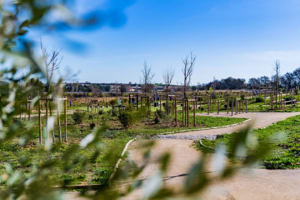 La Scène de Bayssan à Béziers