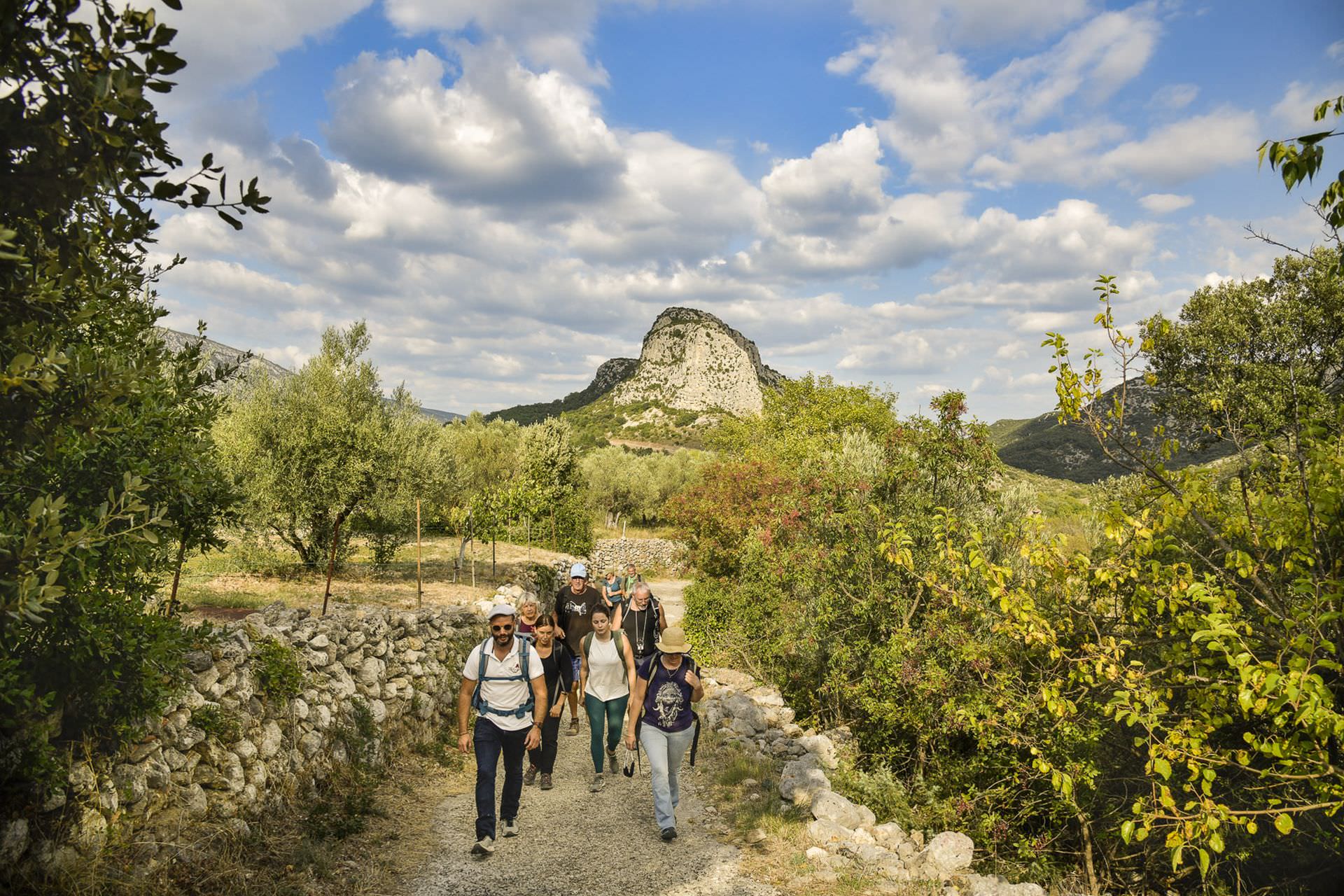 Un groupe d'amis participe à une balade Vins & Saveurs en Terres de Garrigues et du Pic Saint-Loup