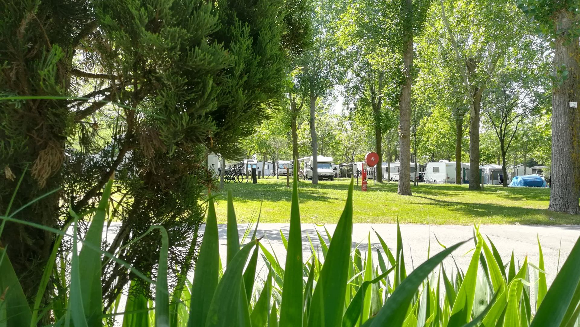 Camping La Petite Motte FFCC à La Grande Motte