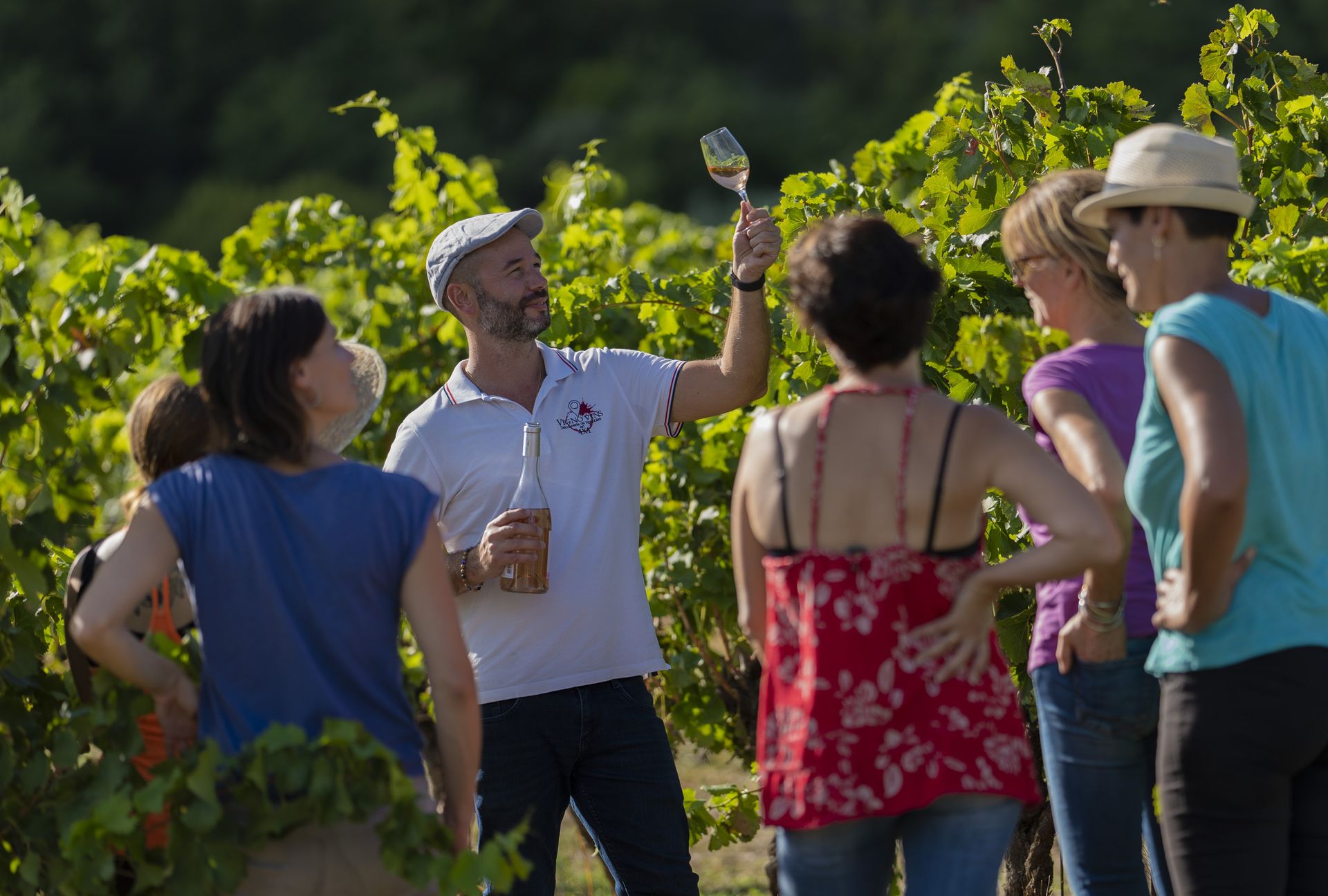 Un groupe d'amis participe à une balade Vins & Saveurs en Terres de Garrigues et du Pic Saint-Loup