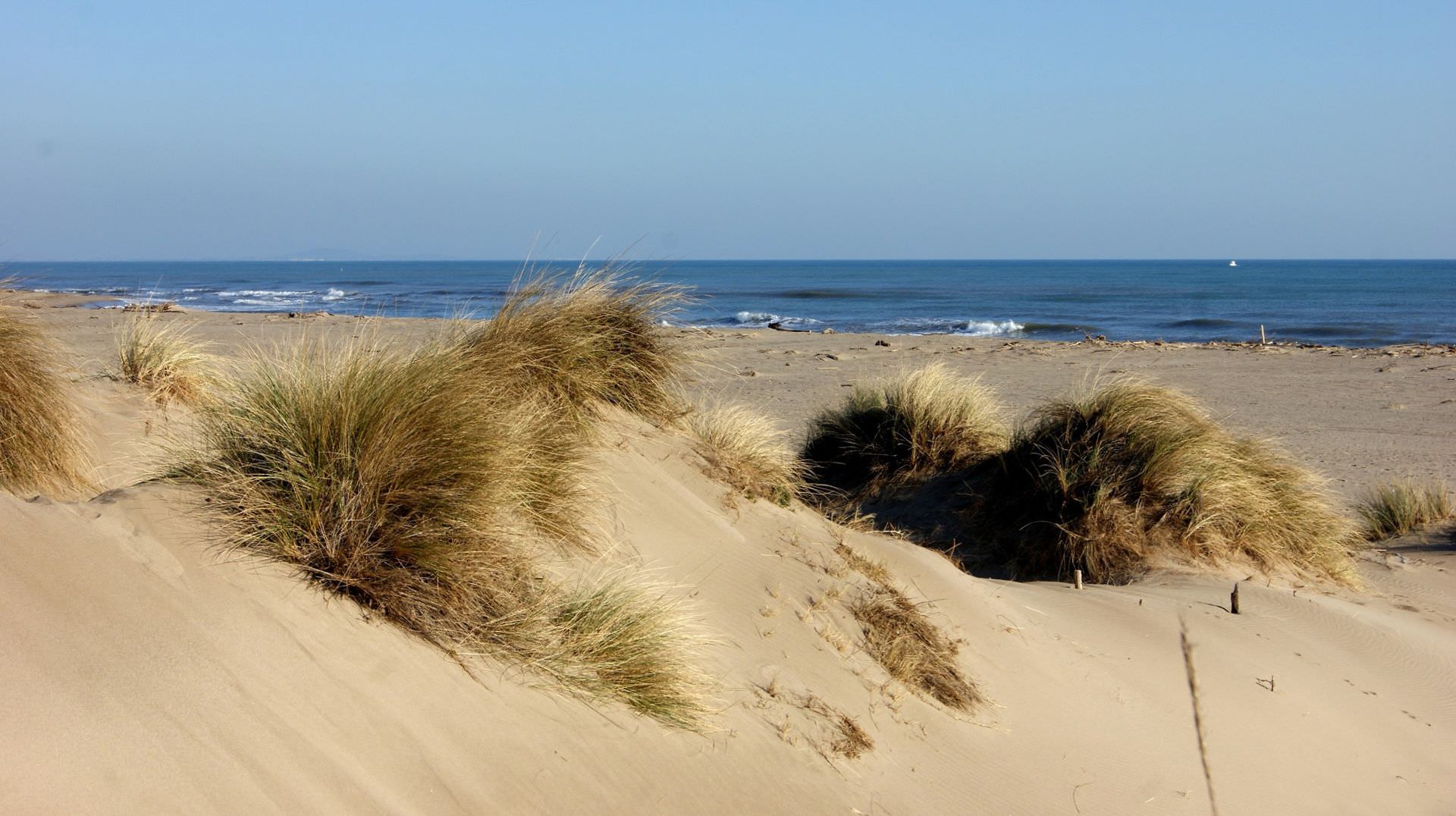 Vue sur la mer, la plage et les dunes sur l'arrière-plage de Vendres