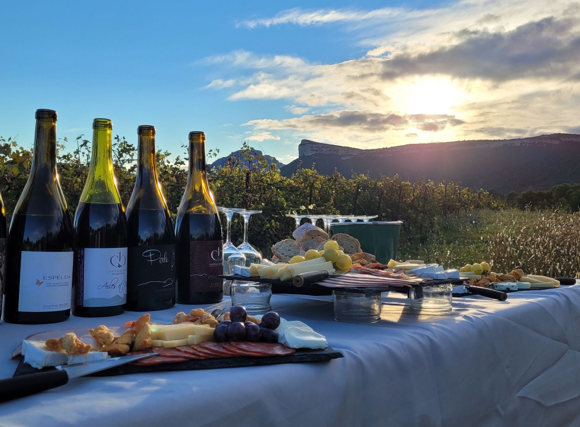 Dégustation et buffet de produits du terroir dans les vignes du Château Boisset à Valflaunès au coucher du soleil avec vue sur le Pic Saint Loup et l'Hortus