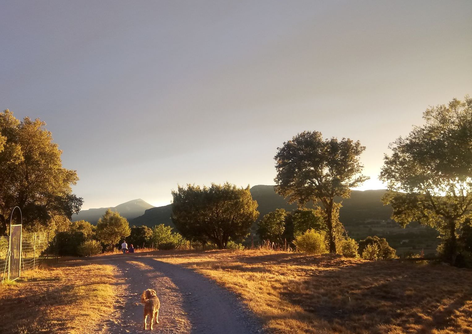 Vue sur les espaces de l'aire naturelle de camping-car du Camping La Devèze à Montoulieu près de Ganges dans les Cévennes