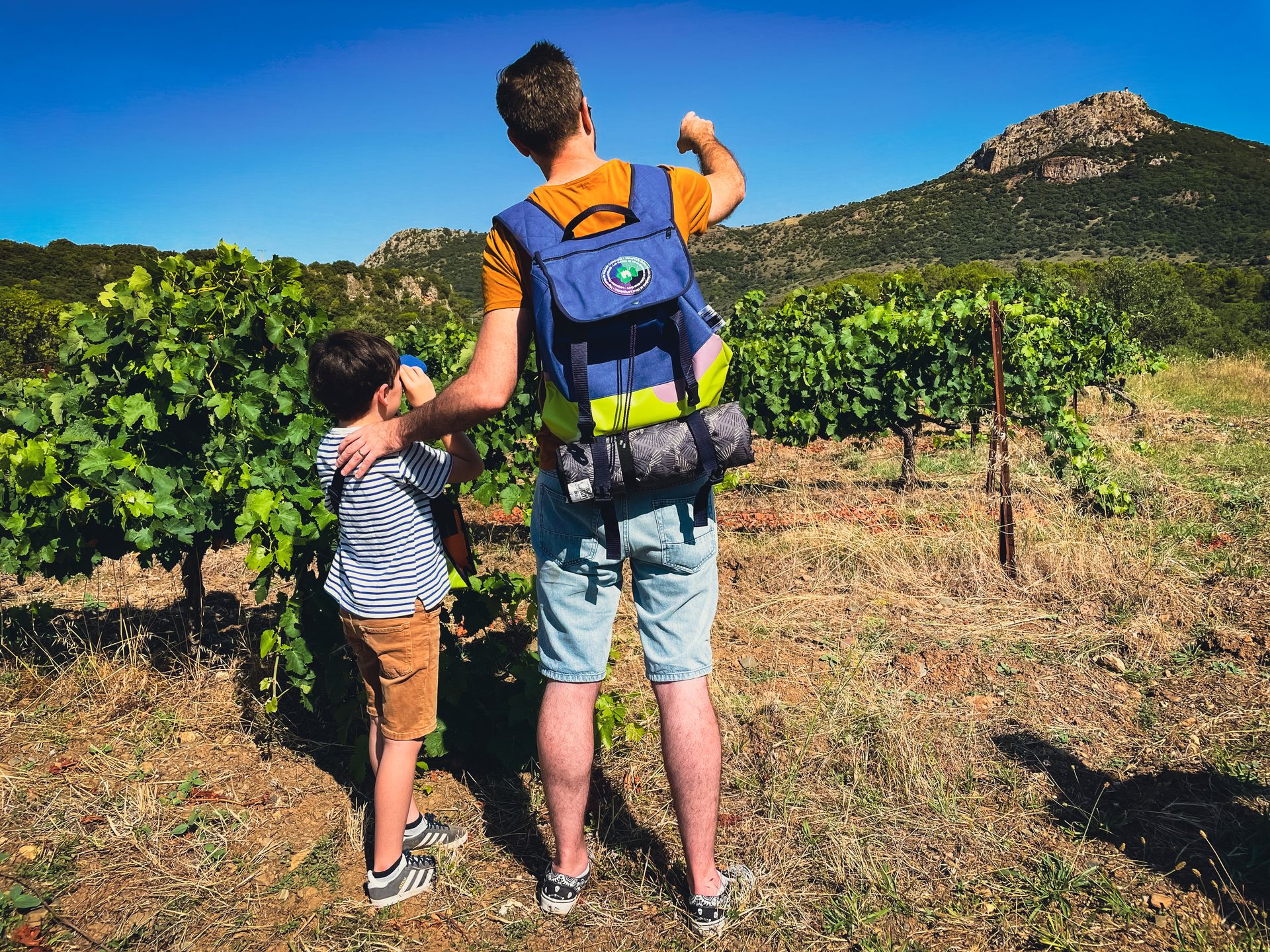 Une famille se balade dans les vignes avec le Comporte, sac à dos vigneron, en Languedoc Coeur d'Hérault