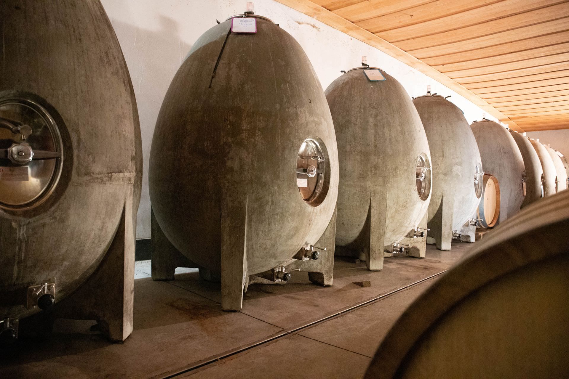 Vue sur les oeufs dans le chai en chanvre de Château Maris à Félines Minervois