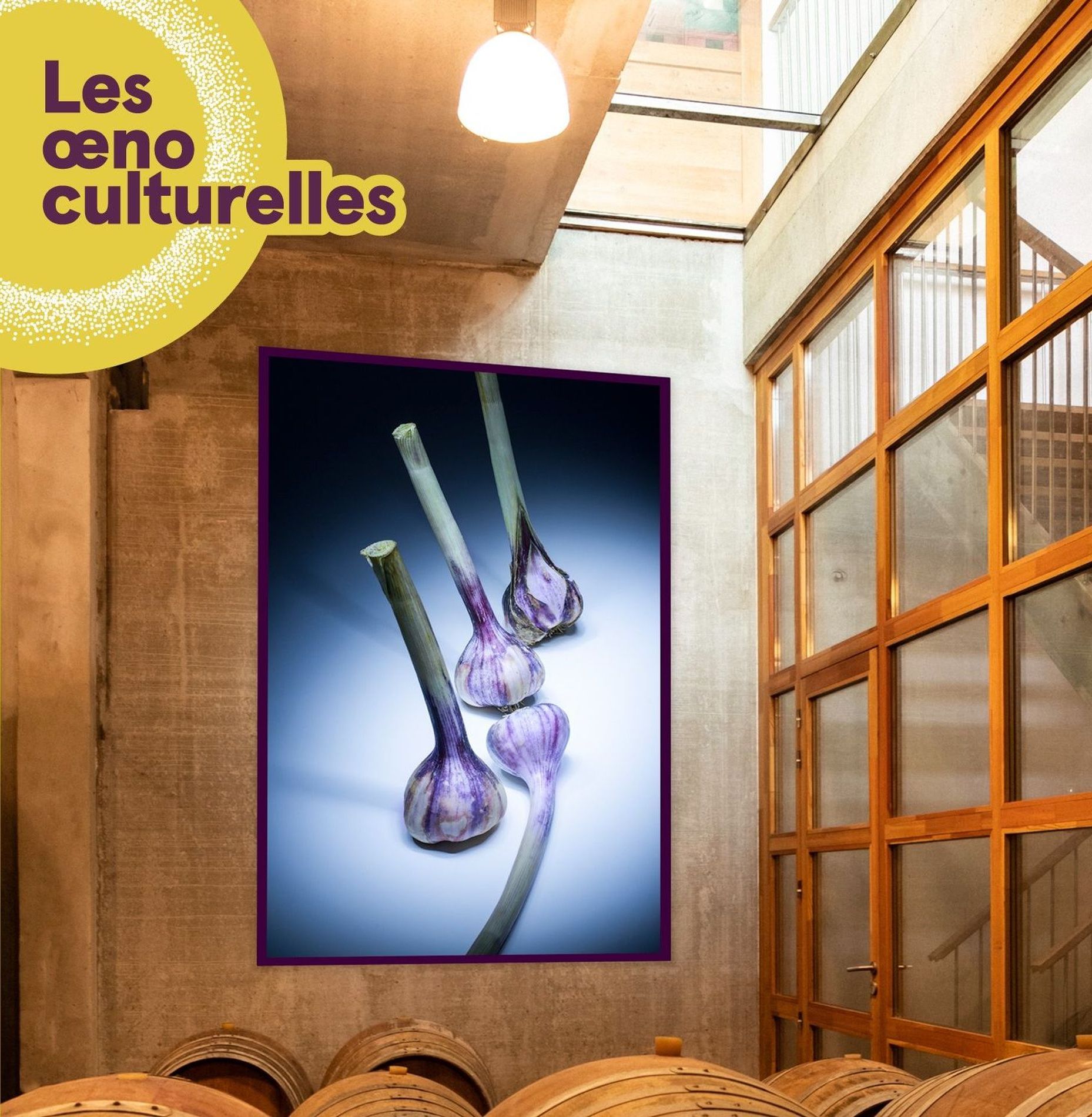 Affiche de l'exposition photos Organic au Château Lascaux à Valflaunès pour la première édition des Oenoculturelles en Grand Pic Saint Loup
