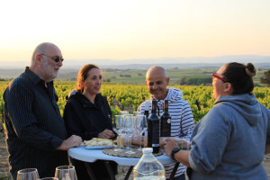 Dégustation de produits du terroir en groupe dans le vignoble du Domaine de Soustres