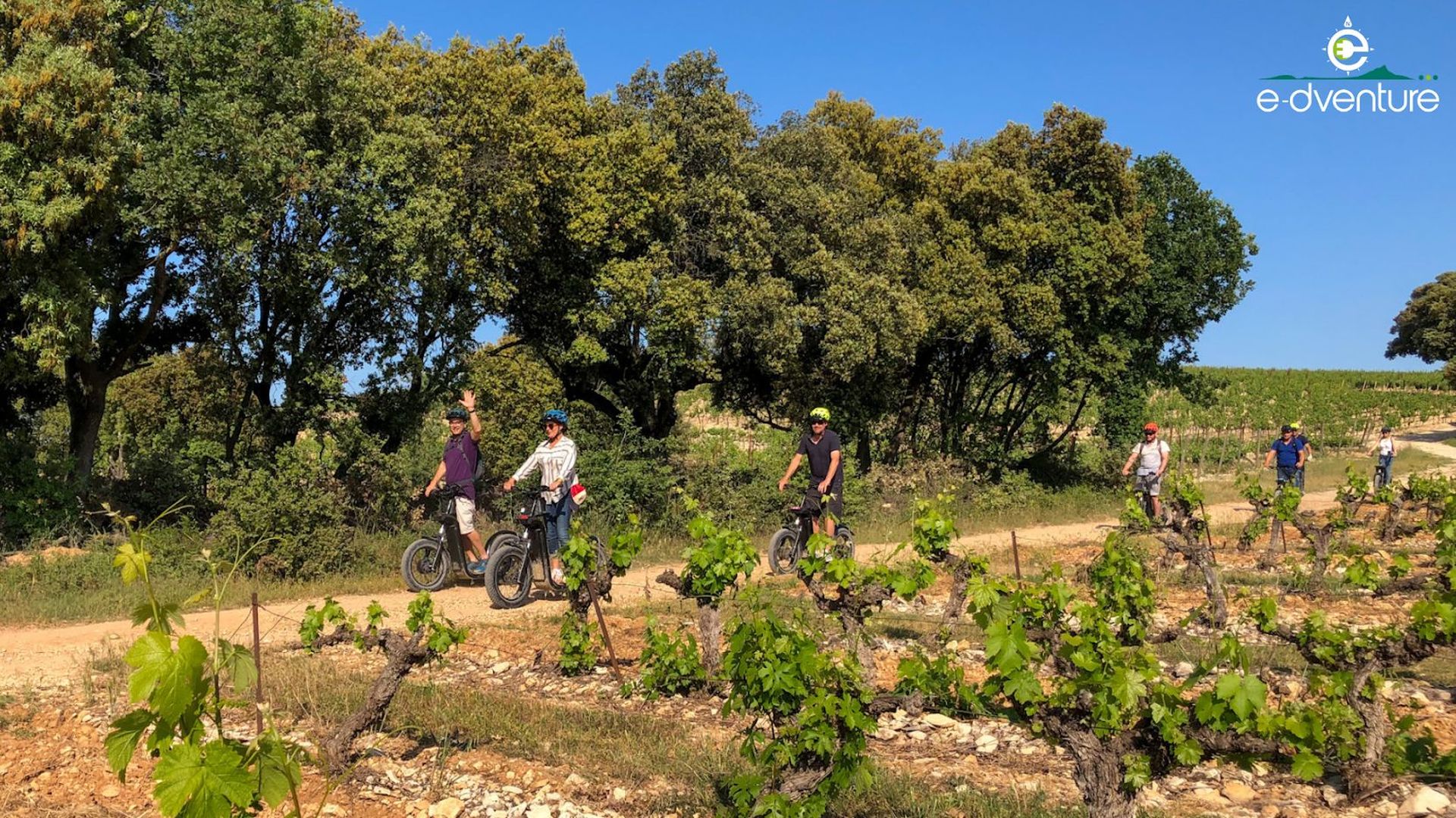 Groupe d'adultes en trottinette électrique dans les vignes de Saint Christol