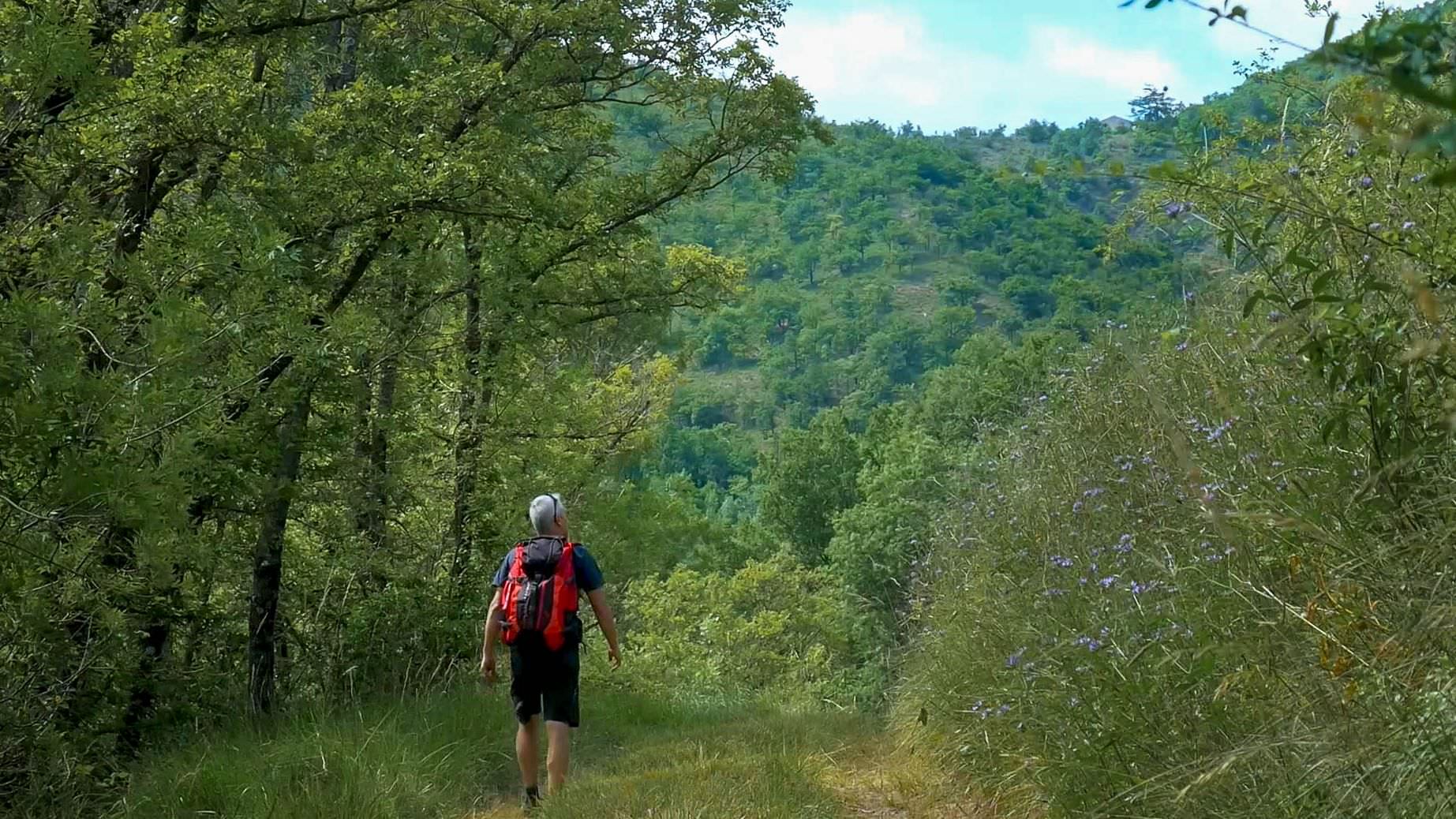 Fôret des Monts d'Orb © Eric Brendle Randonneur dans la Fôret des Monts d'Orb