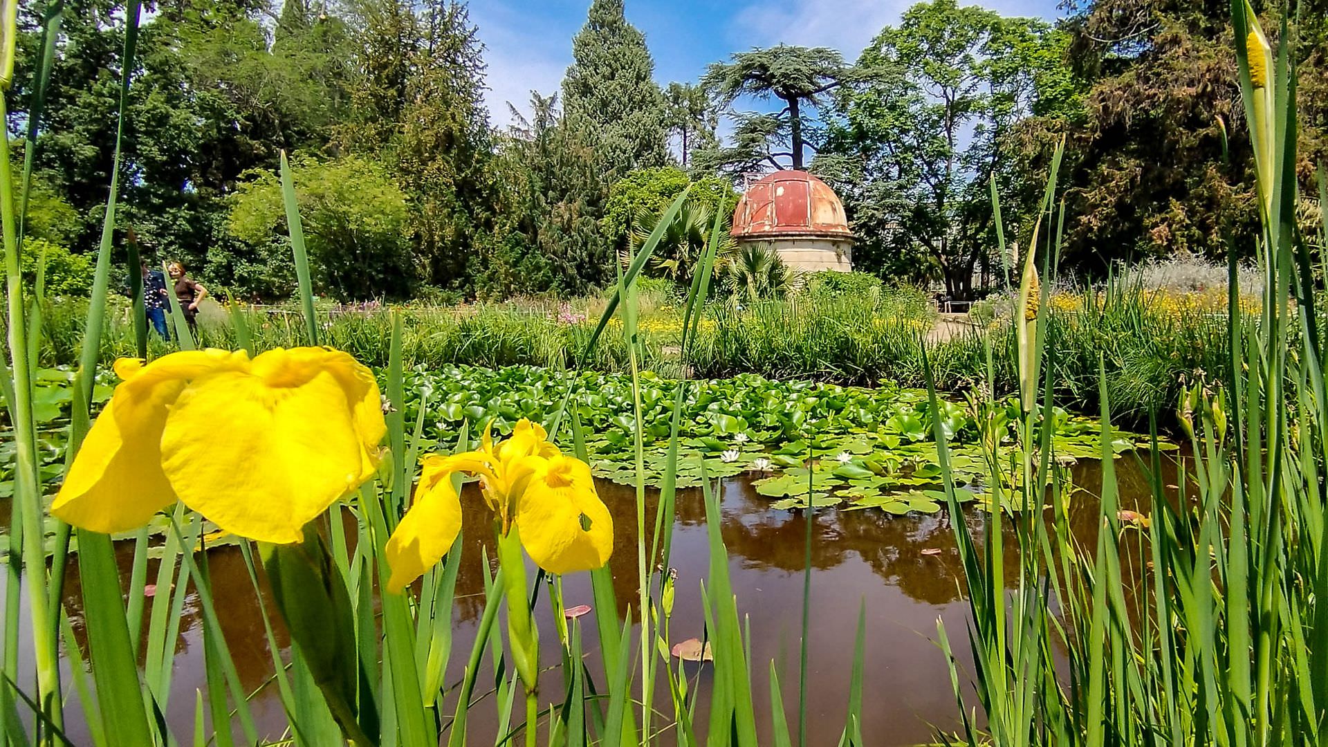 Jardin des Plantes de Montpellier