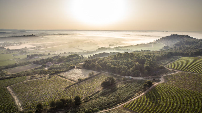 Vignoble languedocien autour de l'Oppidum d'Ensérune @ Olivier Octobre - Office de Tourisme La Domitienne Vue panoramique sur le vignoble languedocien autour de l'Oppidum d'Ensérune